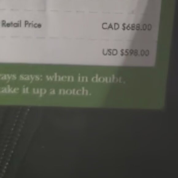 Kate Spade Madison Avenue Fantastic Dress with Feathers! Size 14! - Picture 11 of 11